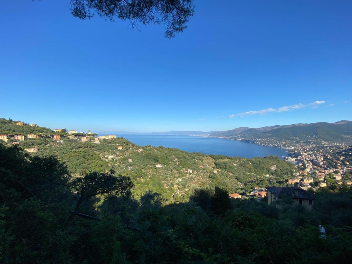 Appartamento Victoria Camogli Eksteriør billede