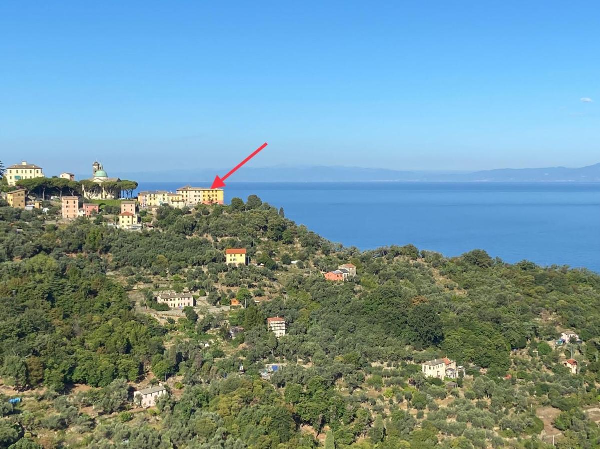 Appartamento Victoria Camogli Eksteriør billede