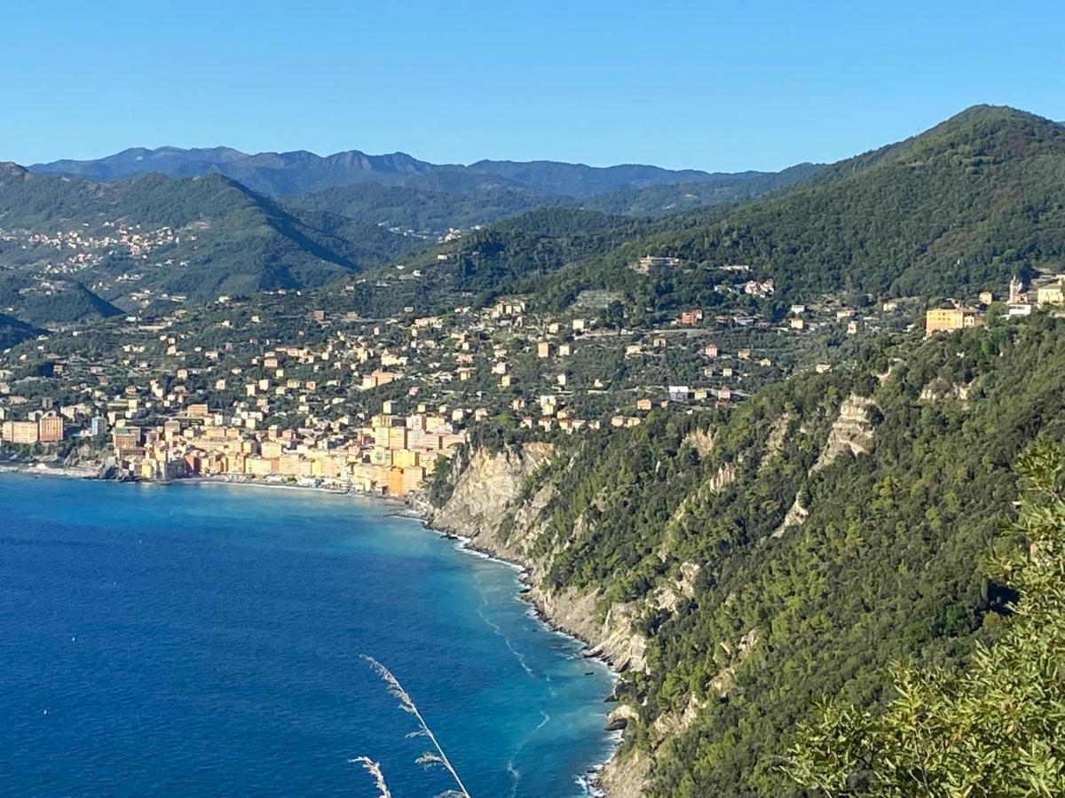 Appartamento Victoria Camogli Eksteriør billede